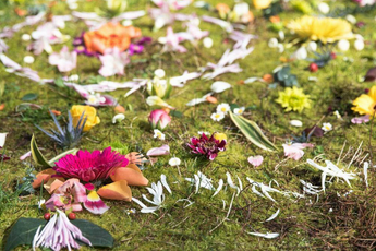 How To Host A Flower Mandala Ritual Gathering